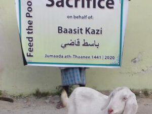 Sacrifice | ‘Aqeeqah | Qurbani | ذبيحة
